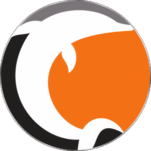 Norrköping Dolphins Sweden Basketball Sports 