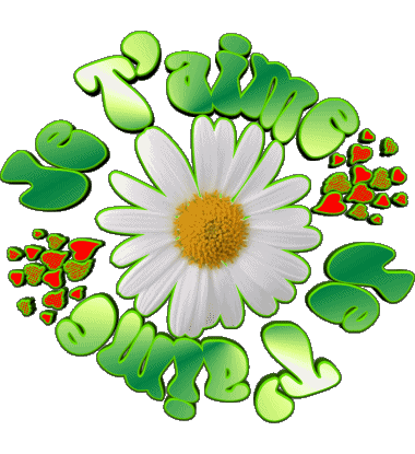 05 Je T'aime Französisch Nachrichten 