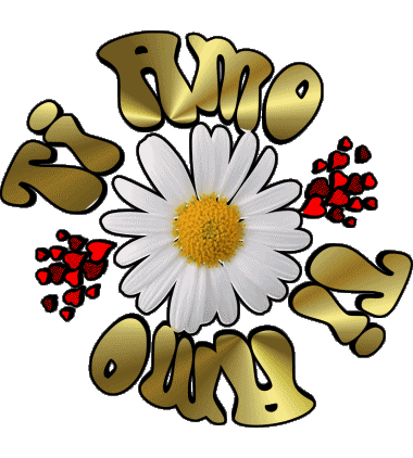 04 Ti Amo Italian Messages 