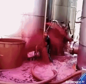 Idiot  Fail Serie 02 Auf Arbeit MENSCHEN Humor -  Fun 