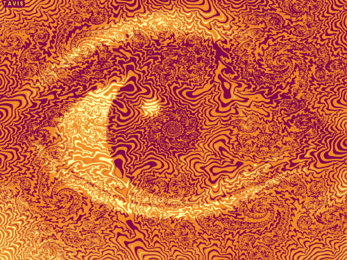 Bill Tavis GIF Artista Humor - Fun 