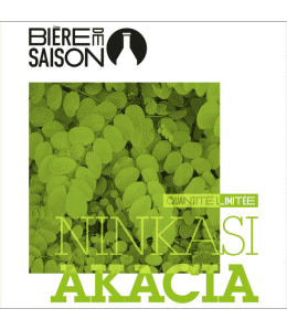 Ninkasi Francia continentale Birre Bevande 