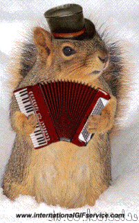 01 Squirrels Animals Humor -  Fun 