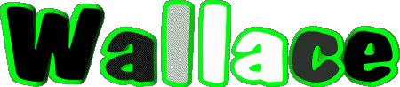 Wallace W MASCULINE -  UK - USA - IRL - AUS - NZ First Names 