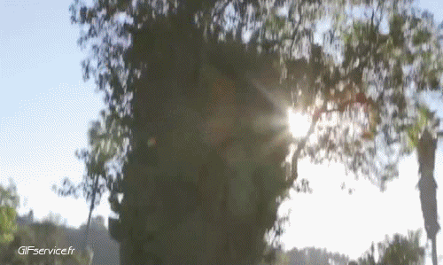 Serie 01 Sexy - Ragazza PERSONE Umorismo -  Fun 