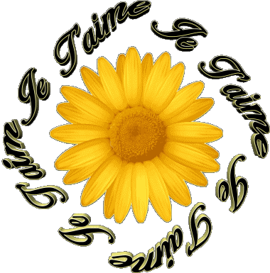 03 Je T'aime French Messages 