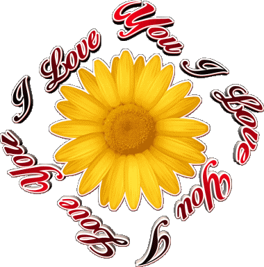 02 I Love You Anglais Messages 