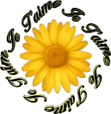 03 Je T'aime French Messages 