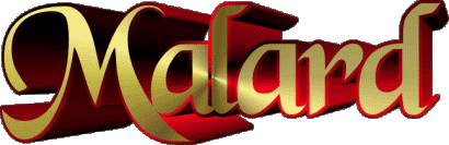 Malard M MANN - Frankreich Vorname 