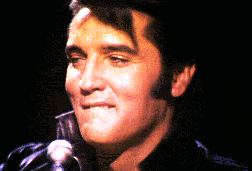 Elvis Presley Rock USA Música Multimedia 