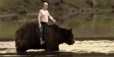 Wladimir Poutine Politik - International MENSCHEN Humor -  Fun 