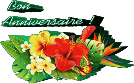 001 Transparent Background Floral Bon Anniversaire French Messages 
