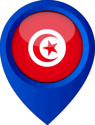Epingle de Localisation Tunisie Afrique Drapeaux 