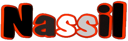 Nassil N MANN - Maghreb Muslim Vorname 