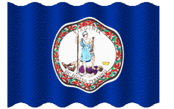 Sventola Virginia U.S.A - Stati America Bandiere 