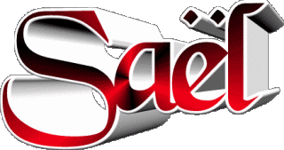 Saël S MASCULIN - France Prénoms 