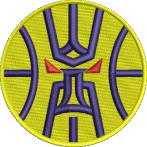 Shanxi Brave Dragons Chine Basketball Sports 