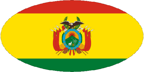Verschiedene Bolivien Amerika Fahnen 