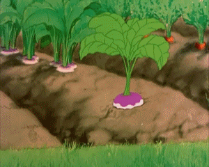 Garden Gopher Tex Avery Dibujos animados TV Peliculas Multimedia 