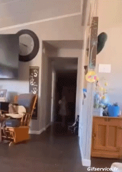 Serie 02 Chevaux Animaux Humour - Fun 