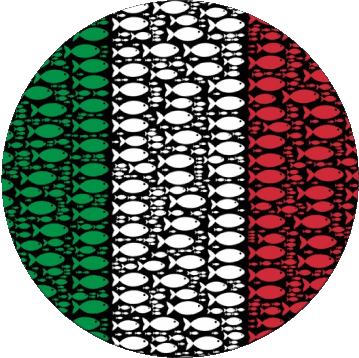 Tondo Nazionale Italia Europa Bandiere 
