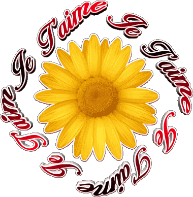 03 Je T'aime French Messages 