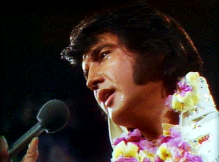 Elvis Presley Rock USA Musique Multi Média 