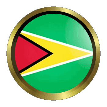 Round - Rings Guyana America Flags 
