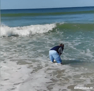 Von Seaside Orte Humor -  Fun 