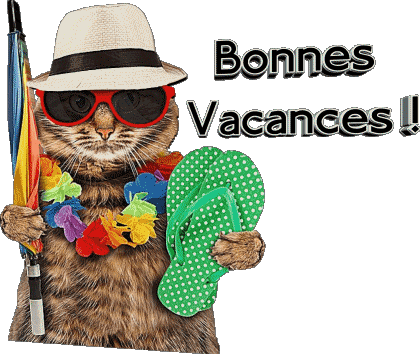 30 Transparent Background Bonnes Vacances French Messages 