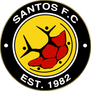 Santos Cape Town FC South Africa Soccer Club Africa Logo Sports 