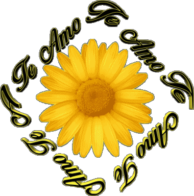 02 Te Amo Espagnol Messages 