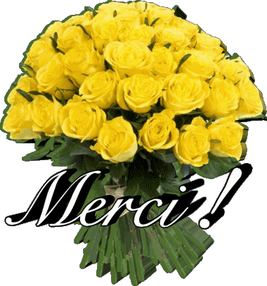 011 Merci Francese Messagi 