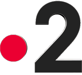 Logo France 2 Chaines -  TV France Multi Média 