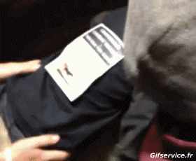 01 Sheep Animals Humor -  Fun 