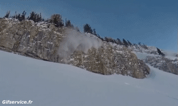 Free Ride Fun Win Ski Sport Humor -  Fun 