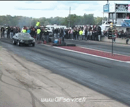 Wheeling Car Cars Transport Humor -  Fun 