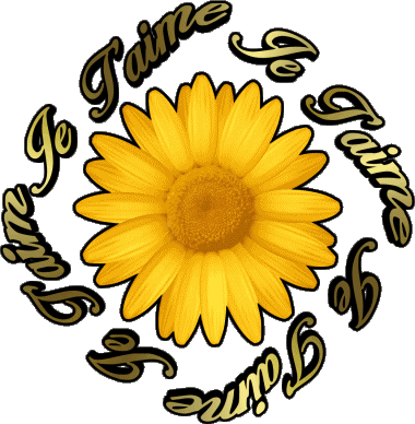 03 Je T'aime French Messages 