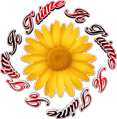 03 Je T'aime French Messages 