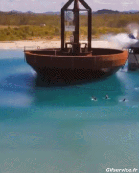 Fun - Win Surf Sports Humour - Fun 