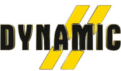 Dynamic Skiing - Equipment Sports 