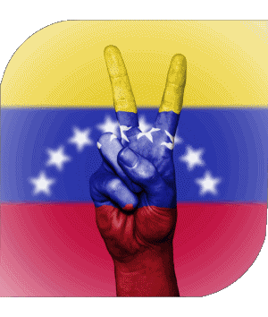 Plaza Venezuela América Banderas 