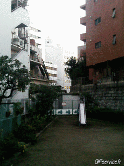 Stéreoscopique Wiggle 3d Effekte Humor -  Fun 