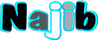 Najib N MASCULIN - Maghreb Musulman Prénoms 