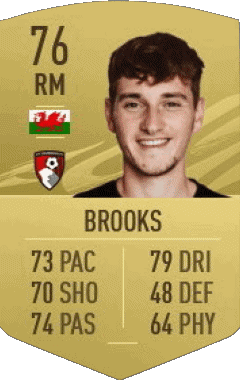 David Brooks Wales F I F A - Card Players Video Games Multi Media 