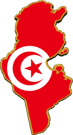 Carte Tunisie Afrique Drapeaux 