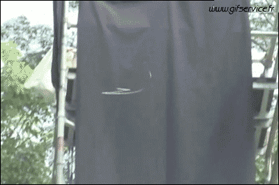 01 Snakes Animals Humor -  Fun 