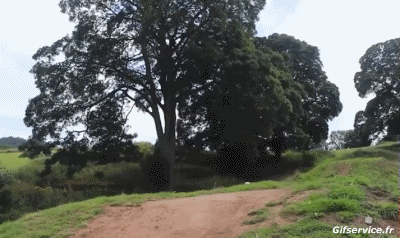 Free Style Fun - Win 01 Skateboard Sports Humour - Fun 