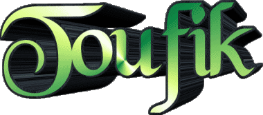 Toufik T MASCULIN - Maghreb Musulman Prénoms 