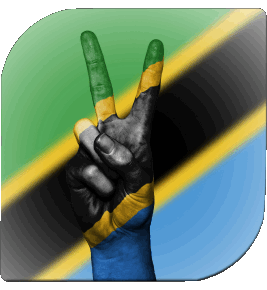 Quadrato Tanzania Africa Bandiere 